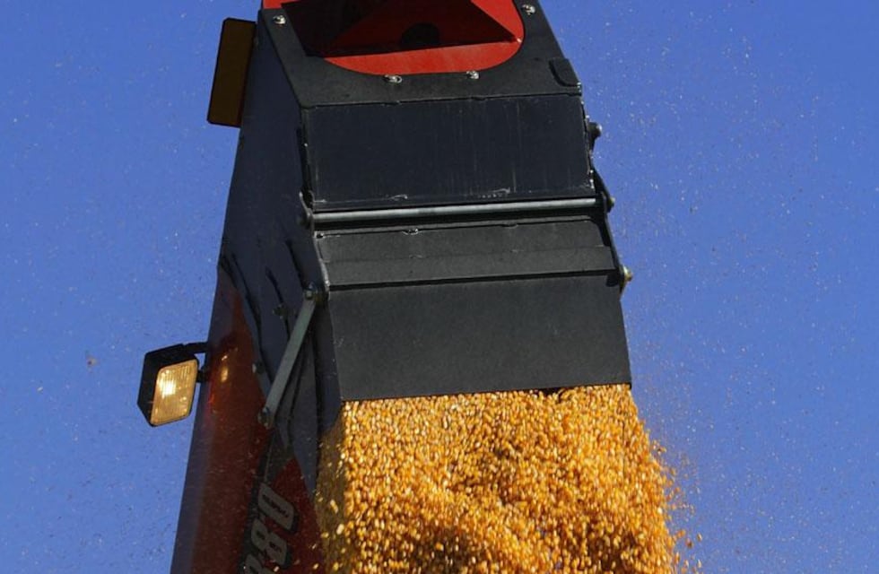 San Luis, la segunda provincia más exportadora del país