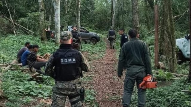 Desarticulan un rozado ilegal en San Pedro.