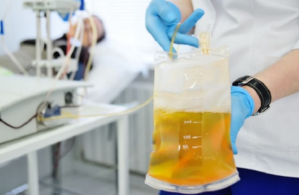 Lanzan campaña provincial para la donación de sangre, plasma y órganos