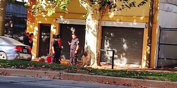 La víctima cayó herida cerca de la colectora este, a la altura de Martín Fierro.