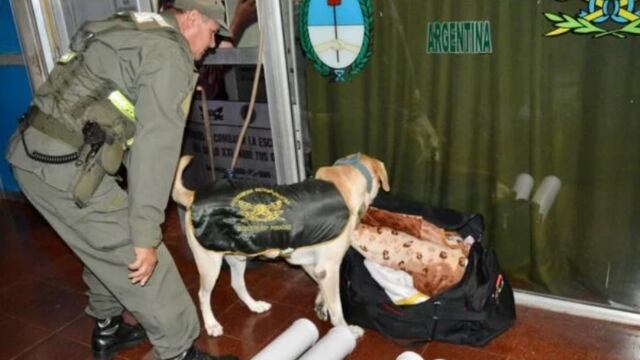 Incautan en Posadas un cargamento de marihuana en la Terminal de Ómnibus.