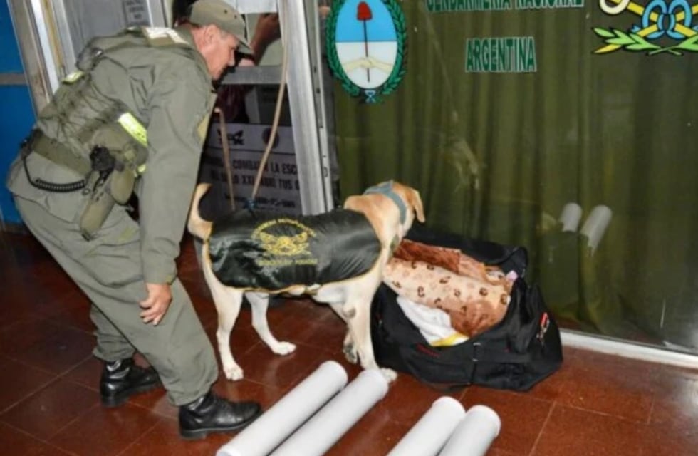 Incautan en Posadas un cargamento de marihuana en la Terminal de Ómnibus