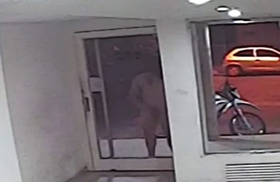 Un pervertido anda desnudo por la calle e intenta atacar a mujeres