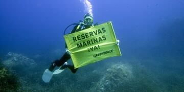 Greenpeace informó que el frente del Mar Argentino está “sitiado” por una flota de barcos extranjeros