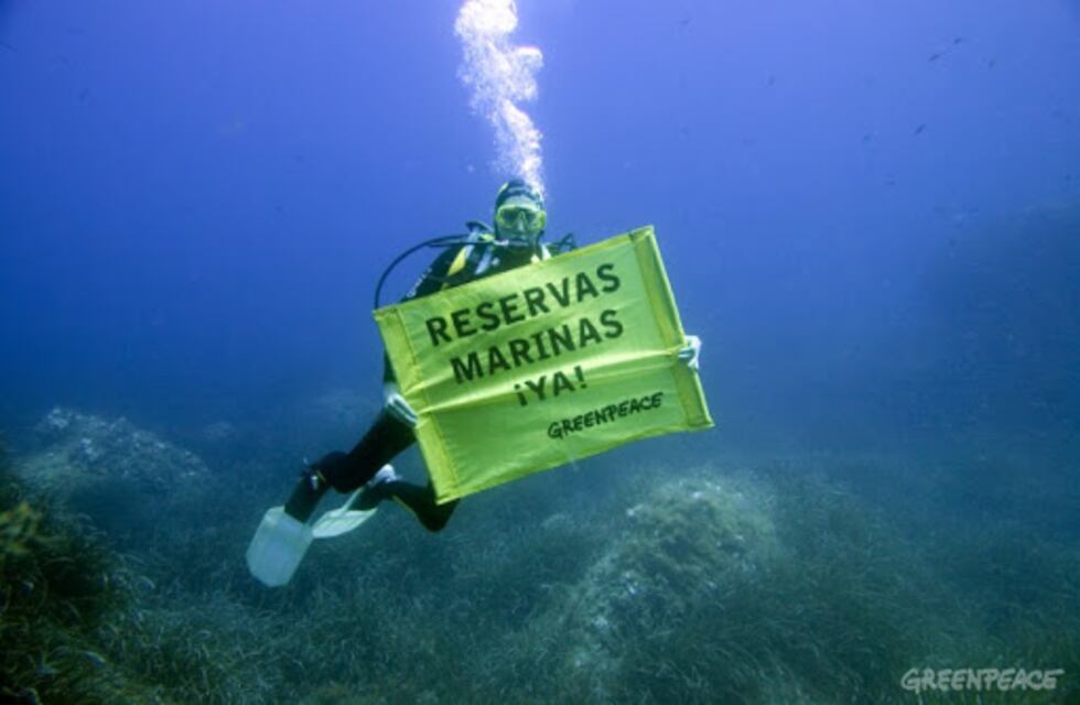 Greenpeace informó que el frente del Mar Argentino está “sitiado” por una flota de barcos extranjeros