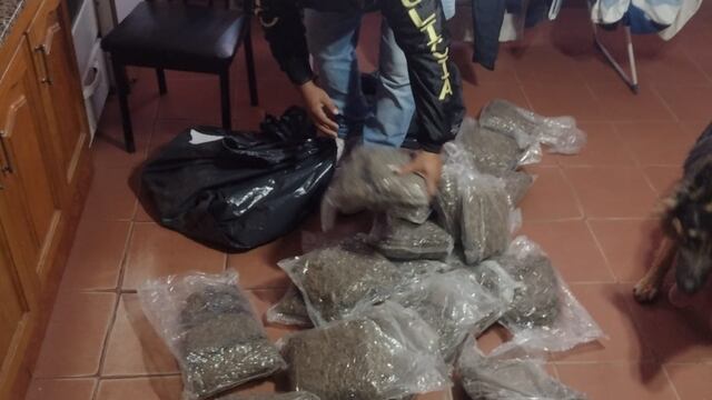 Los 240 kilos de marihuana, hallados en la vivienda de barrio Mirizzi, estaban distribuidos en 186 paquetes. (Policía de Córdoba)