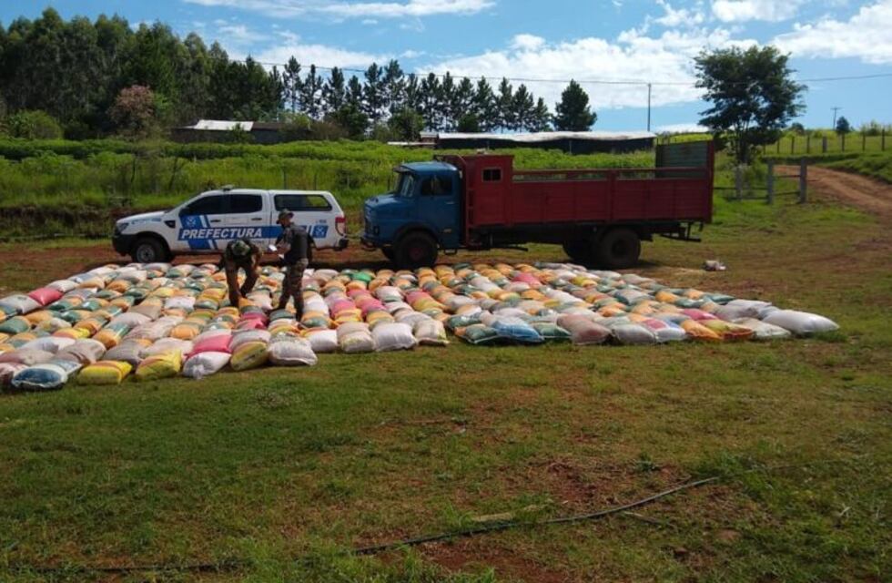 Desmantelan cargamento ilegal de cereales en El Soberbio