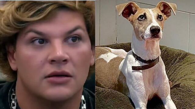 Arturo atacó a Emmanuel dentro de la casa de Gran Hermano 2024.