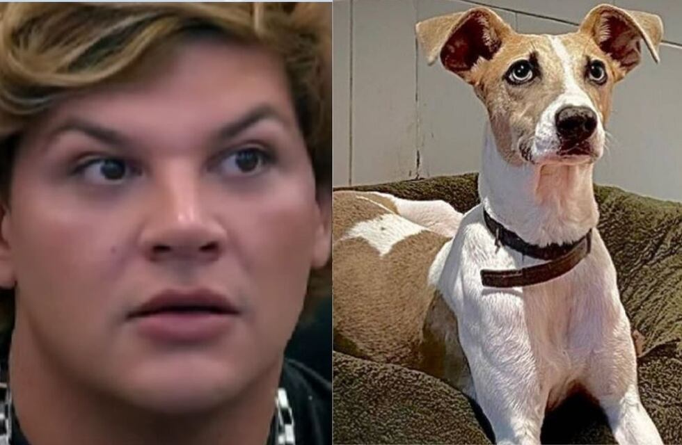 Gran Hermano 2024: así fue el inesperado ataque de Arturo contra Emmanuel