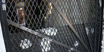 La puerta de entrada al pasillo en Bulevar Seguí al 200 bis quedó marcada por múltiples impactos de proyectiles.