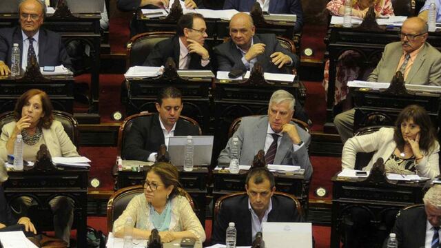 Los diputados del "centro" fueron decisivos en las votaciones (Federico López Claro/Archivo)