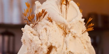 Una heladería lanzó 11 innovadores sabores con productos nativos de Córdoba.