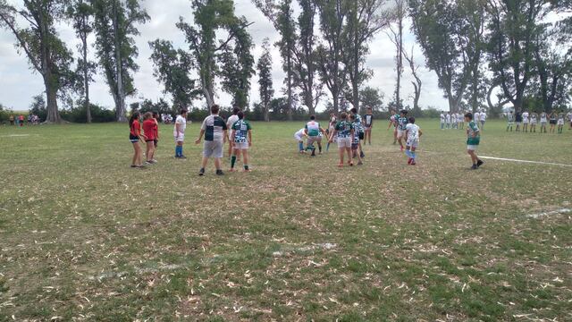 Los Halcones rugby Transito