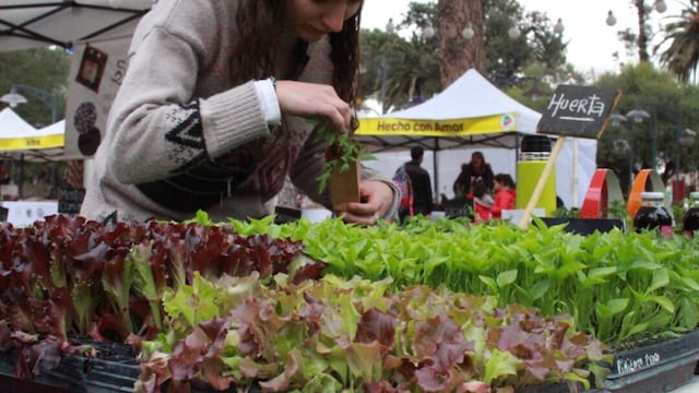 Este viernes 5 y sábado 6 se realizará en la plaza San Martín de Luján la Feria saludable Luján Natural. Gentileza Municipalidad de Luján de Cuyo
