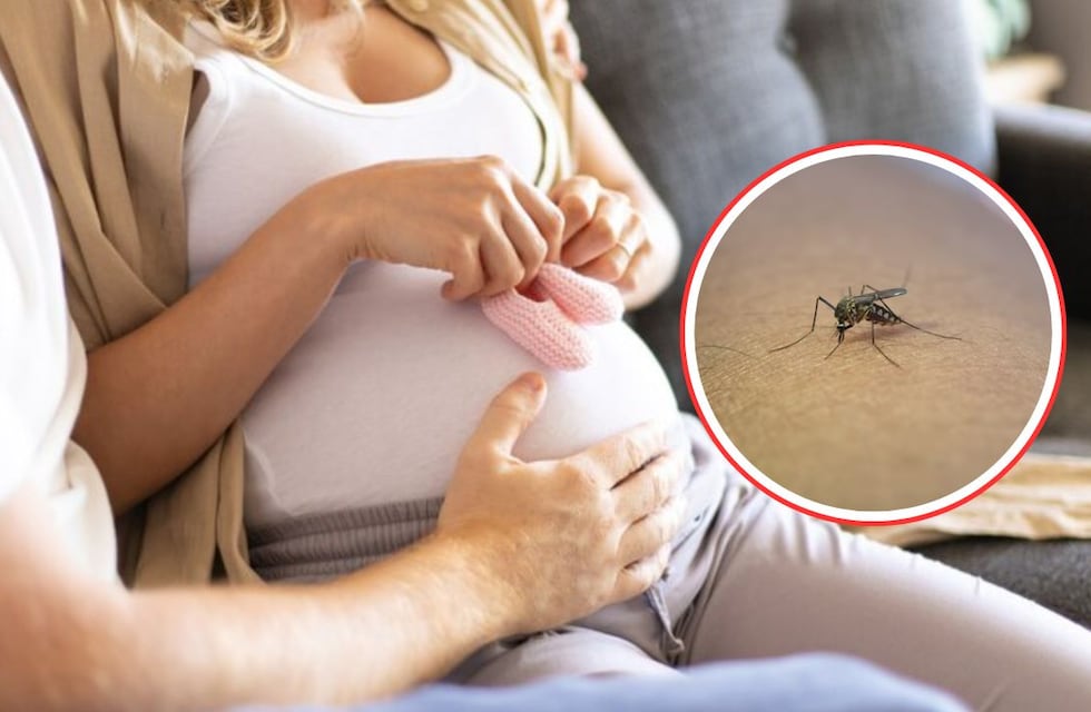 Embarazada y con dengue: ¿existe algún riesgo para el bebé?