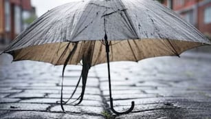 Cómo reciclar un paraguas roto y transformarlo en un elemento infaltable para la pileta