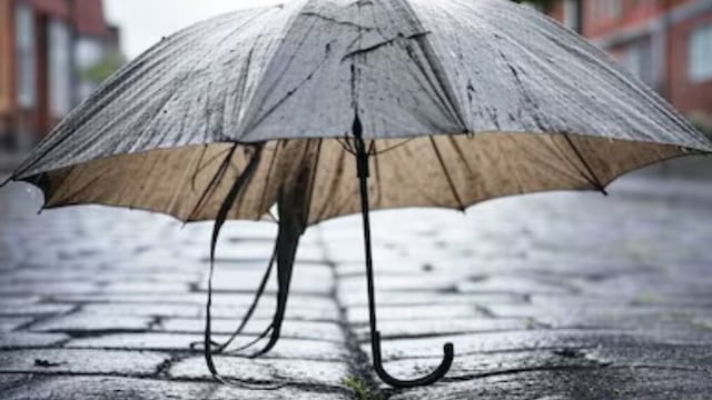 Cómo reciclar un paraguas roto y transformarlo en un elemento infaltable para la pileta