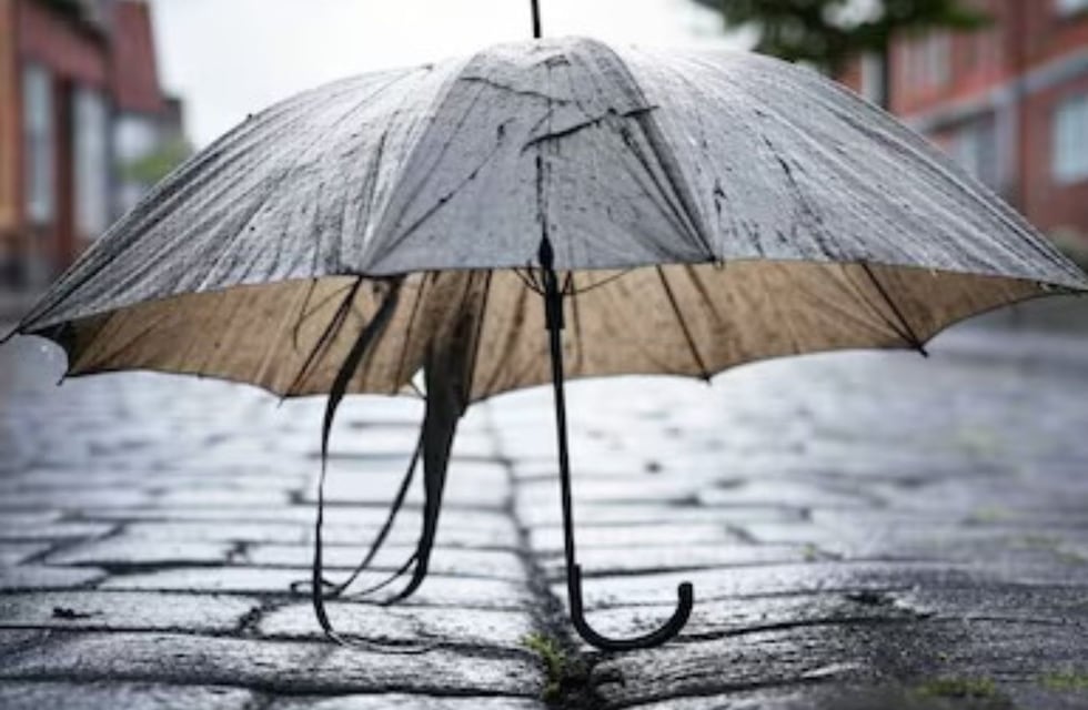 Cómo reciclar un paraguas roto y transformarlo en un elemento infaltable para la pileta