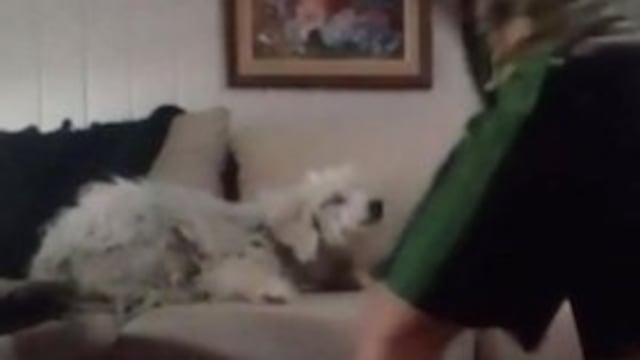 Captura de pantalla de uno de los videos en el que se puede ver al adolescente maltratando a su perro. Twitter @vivas_maris