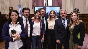 El nuevo bloque de senadores del PRO presidido por Luis Juez