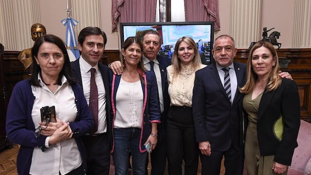 El nuevo bloque de senadores del PRO presidido por Luis Juez