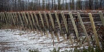 El Valle de Uco nevado, una postal imperdible. Foto: Ignacio Blanco / Los Andes