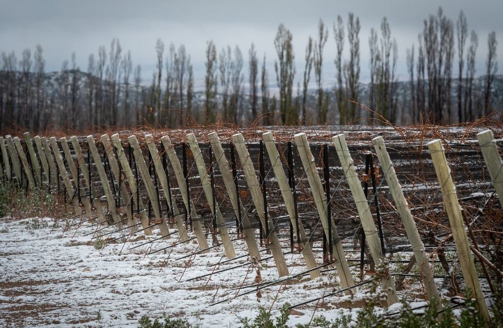 Se acerca un fin de semana largo y el Valle de Uco es uno de los sitios más recomendados de Mendoza