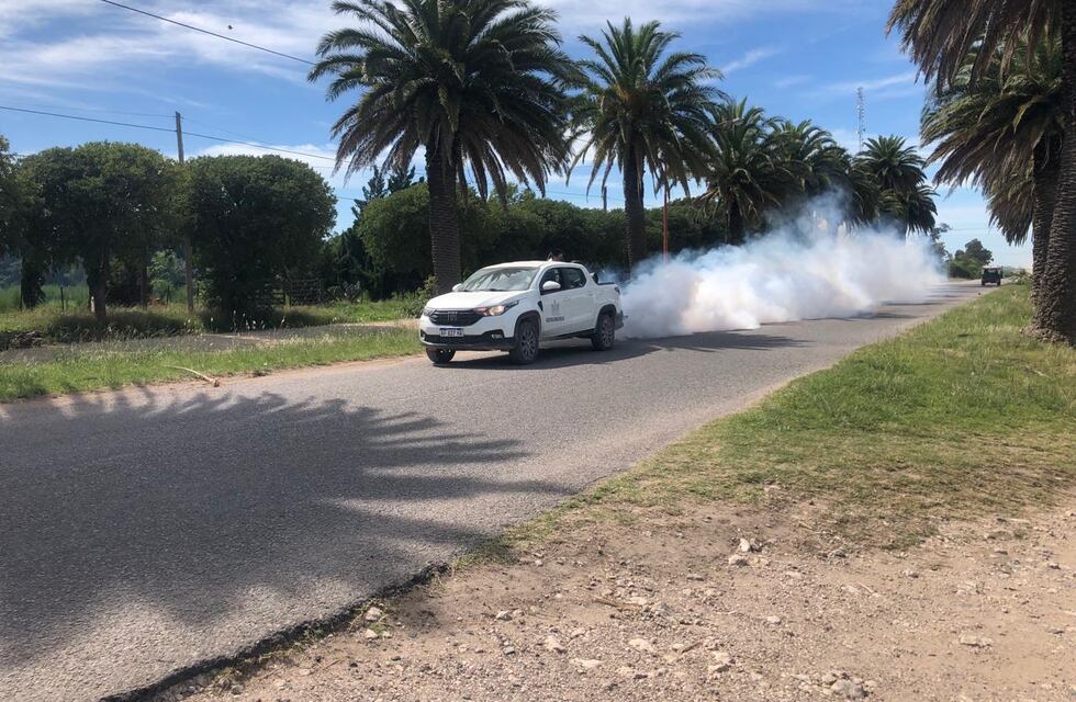 Gestión Ambiental informa los motivos por los cuales no es aconsejable la fumigación aérea contra los mosquitos