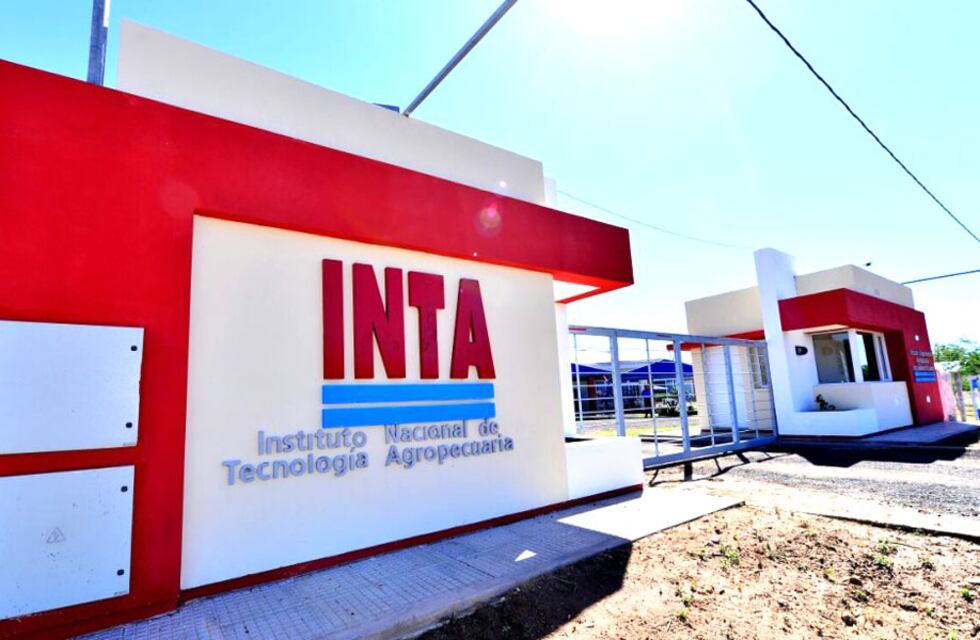 INTA genera un nuevo desarrollo en variedades de uva de mesa sin pepitas