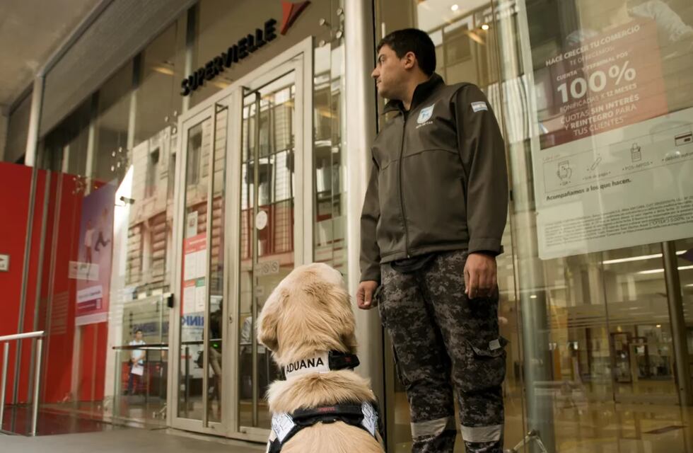 Allanaron más de 20 entidades financieras que se hacían de dólares para venderlos en el mercado “blue”