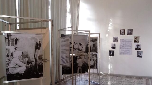 Muestra fotográfica en el Museo Histórico: “Lechería… del tambo a la mesa”
