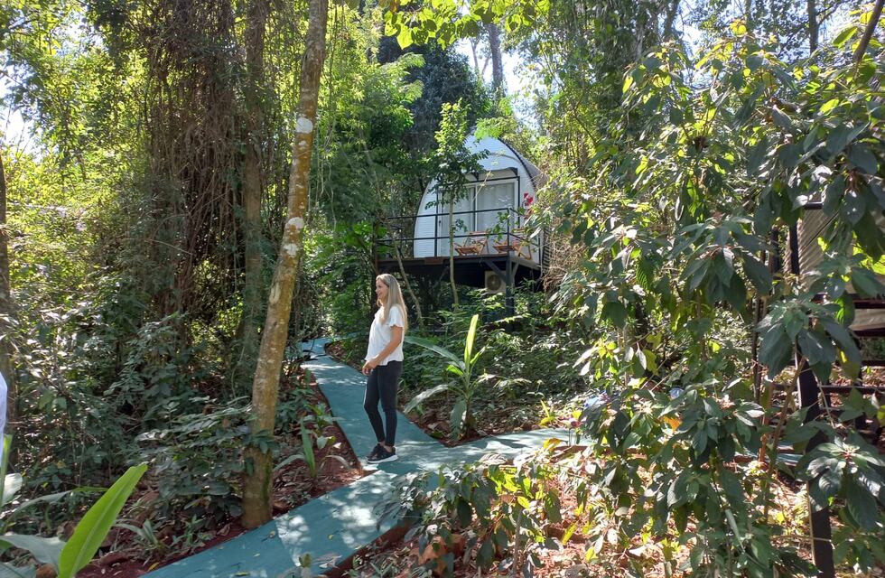Armonía natural y lujo sostenible: descubrí el Glamping Selva Iguazú en la selva misionera