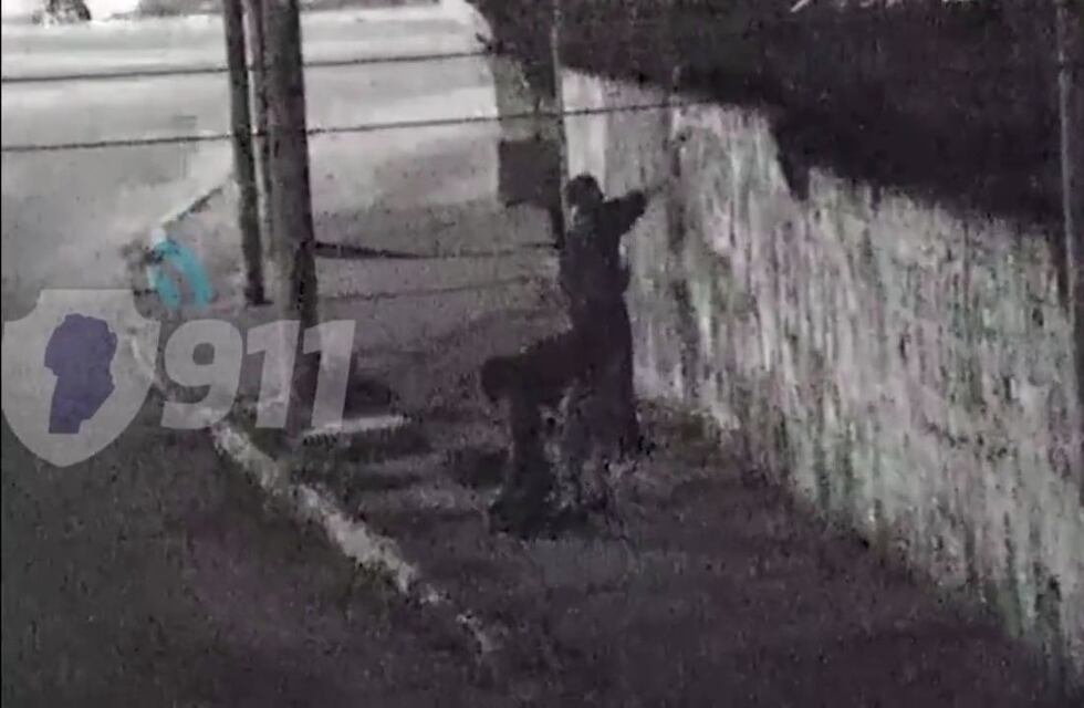 Video: pintaban grafitis en Córdoba y los atraparon en pleno acto