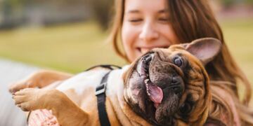 ¿Los perros pueden entender distintos idiomas?