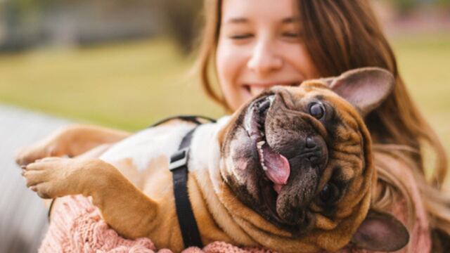 ¿Los perros pueden entender distintos idiomas?