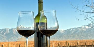 Vino Argentino