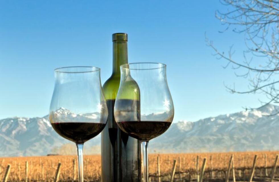 El vino es más que una economía regional