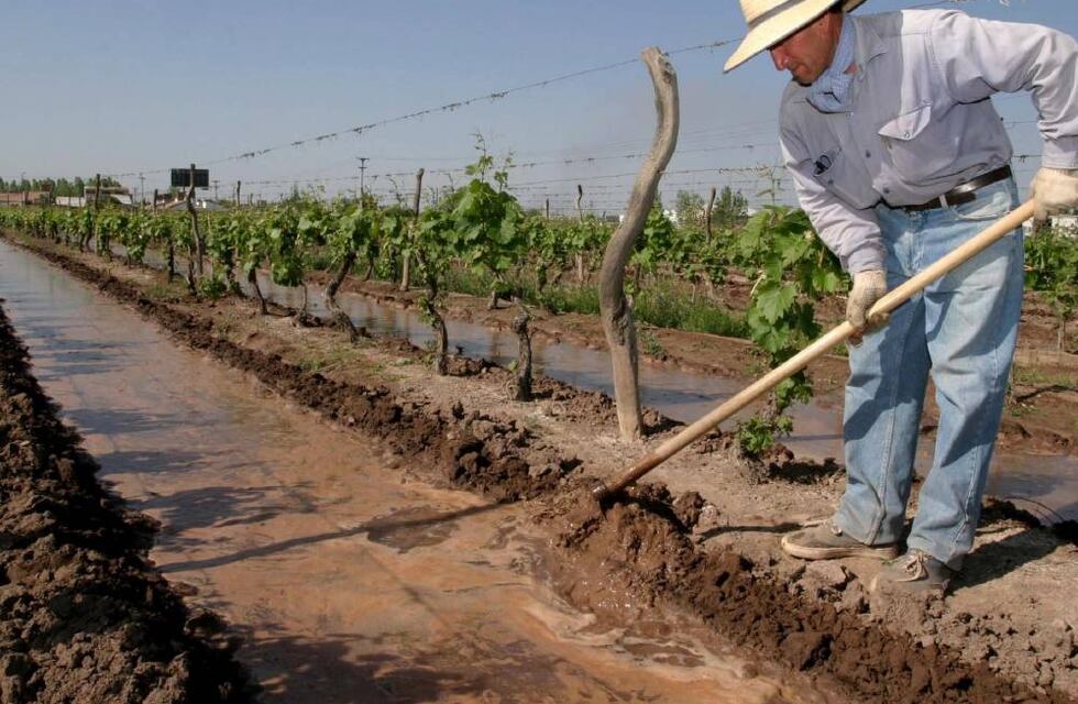 Buscan aumentar la competitividad en productores de San Rafael