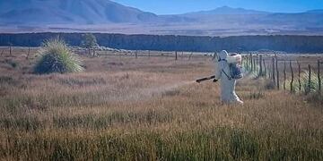 Se fumigaron campos de cultivo.