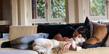 Los sillones son los muebles favoritos de la pareja.