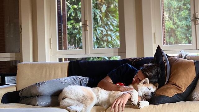 Los sillones son los muebles favoritos de la pareja.