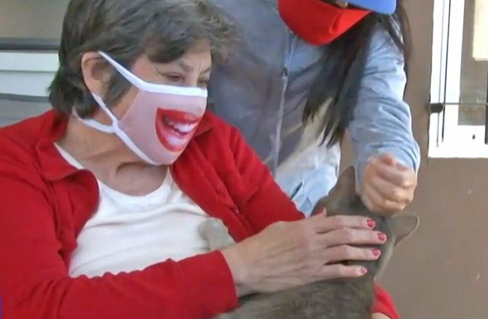 Río Cuarto: le enseñó a decir “mamá” a su gata