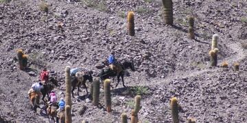 Los voluntarios de la Fundación Alfarcito colaboran con las familias que viven aisladas en la Quebrada del Toro.