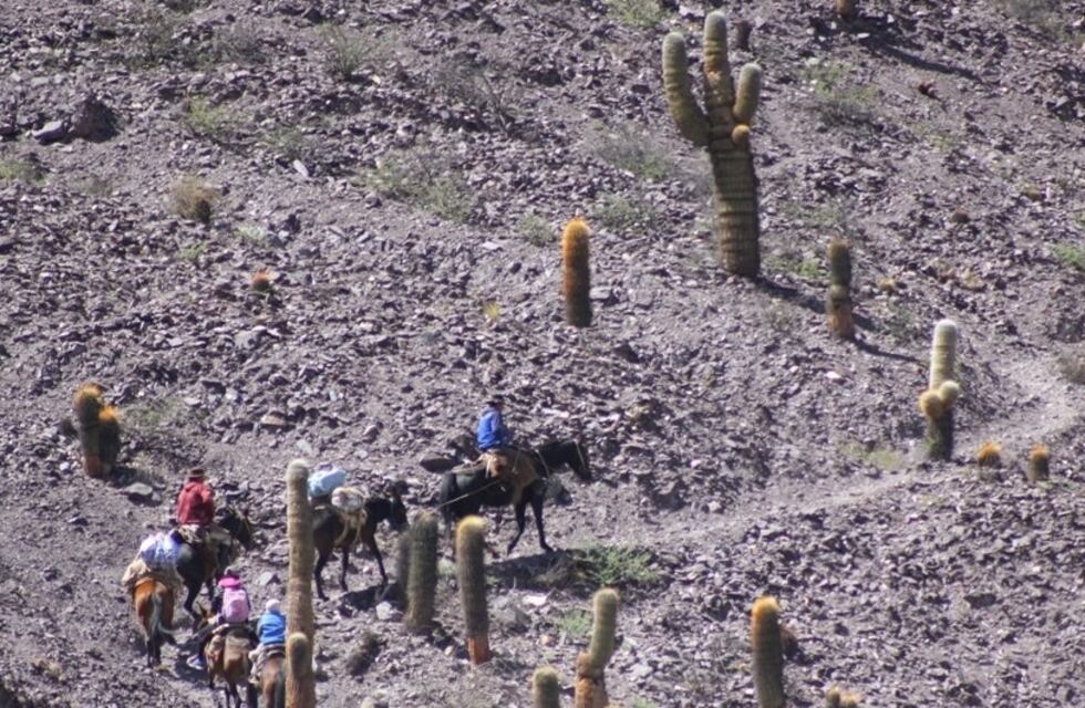 La vida en los Cerros: cómo viven las familias de la Quebrada del Toro