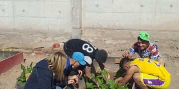 Unidad N° 6 de jóvenes adultos en Boulogne Srur Mer, huerta realizada por el CEBJA y la docente a cargo Bibiana Paludi Ruppi.