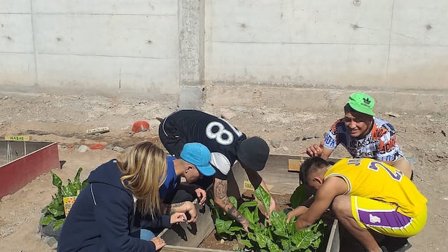 Unidad N° 6 de jóvenes adultos en Boulogne Srur Mer, huerta realizada por el CEBJA y la docente a cargo Bibiana Paludi Ruppi.