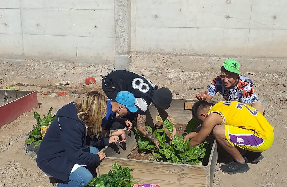 Huertas en contexto de encierro: una herramienta para las personas privadas de libertad