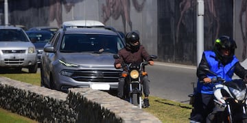 Un animal apareció en la zona norte de Córdoba.