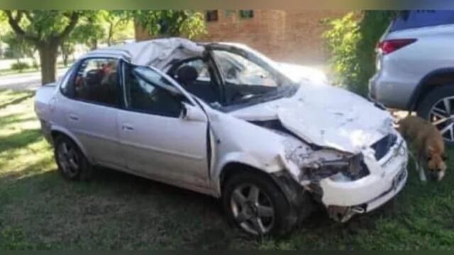 Una pareja murió tras chocar contra un caballo.