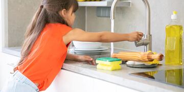 La asquerosa razón por la que deberías cambiar la esponja para lavar platos por un cepillo. (Foto: Freepik)
